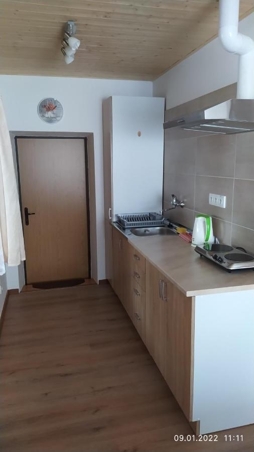 Apartament Apartman Pod Zalym Benecko Zewnętrze zdjęcie